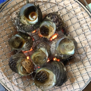 カキ小屋⁉