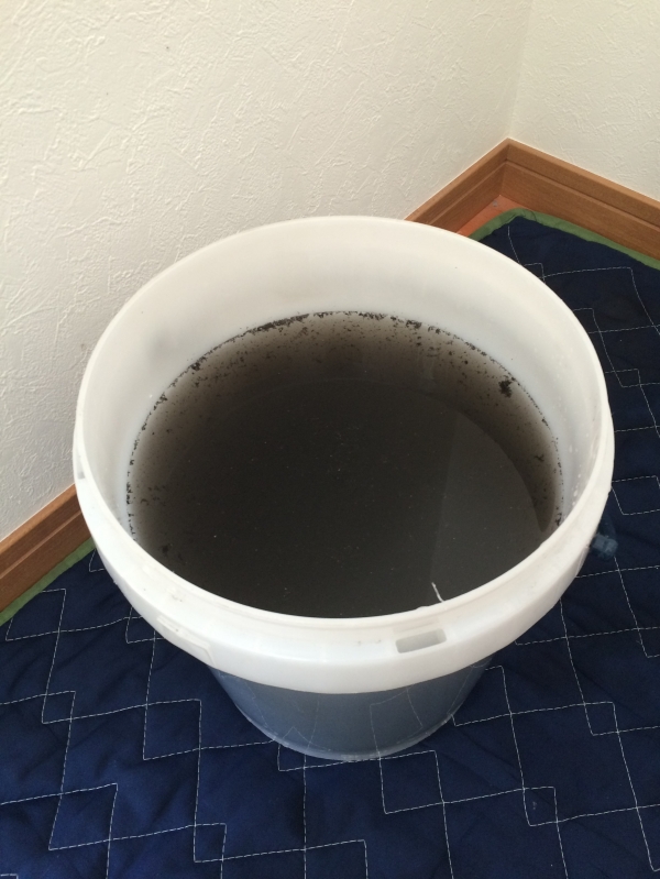 バケツの水はなぜ黒い?