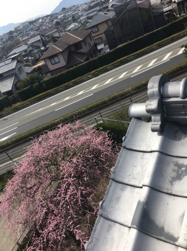 テレビの映りと春の天気は綺麗な方がいい。