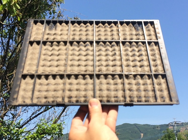 物憂げな6月のスゴシカタ♫