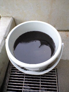 本日の収穫♪
