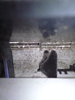 今日は春日市から♪