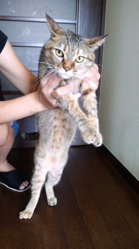 (Yuji)コタちゃん♪