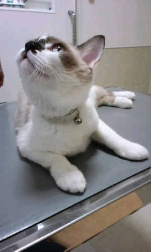 (Yuji)今日のお客様♪