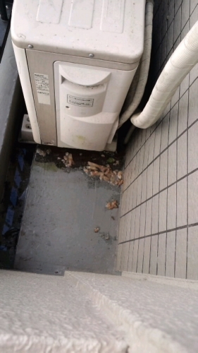 今日の業務♪