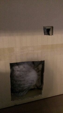 20140624_836705.jpg