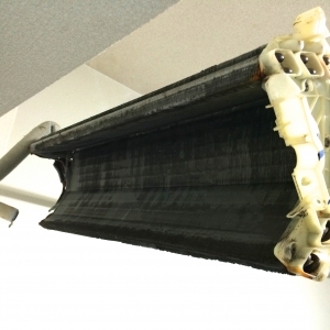 20141225_985989.jpg