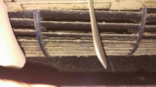 20150321_1044996.jpg