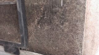 20150321_1044997.jpg