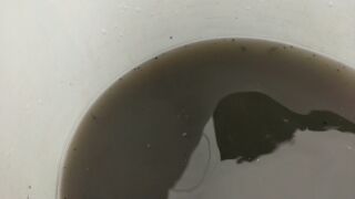 20150321_1045001.jpg