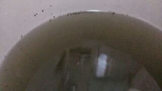 20150321_1045068.jpg