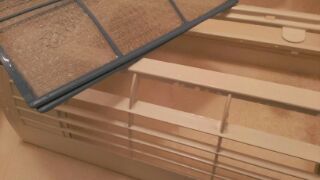 20150321_1045091.jpg