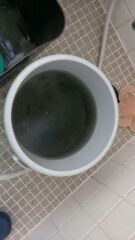 20150405_1056425.jpg