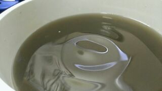 20150405_1056431.jpg