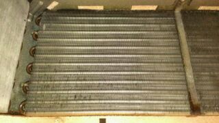 20150413_1062133.jpg