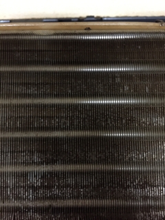 20150714_1133160.jpg