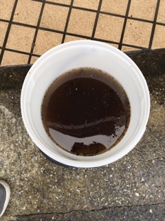 20150714_1133164.jpg