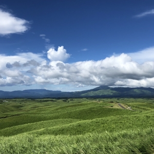 新型コロナウイルス対策